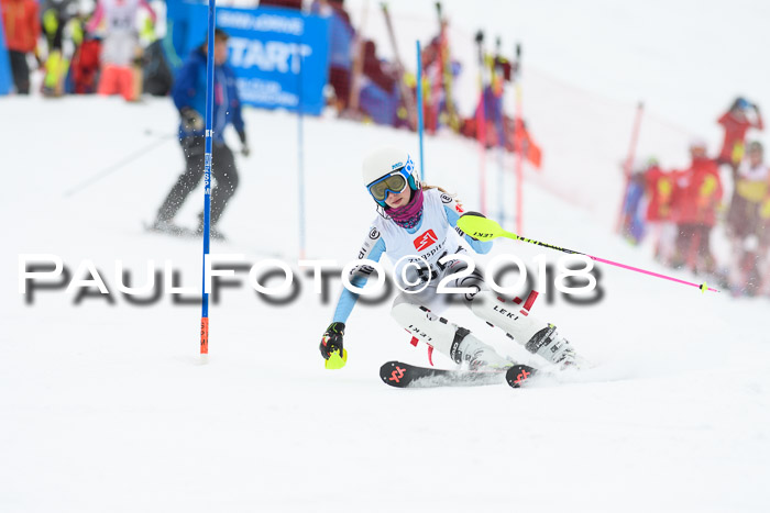 5. BZB CUP SL; WFM 2018