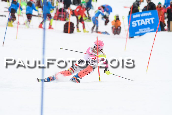 5. BZB CUP SL; WFM 2018