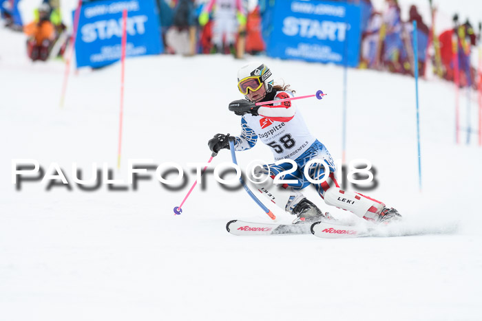 5. BZB CUP SL; WFM 2018