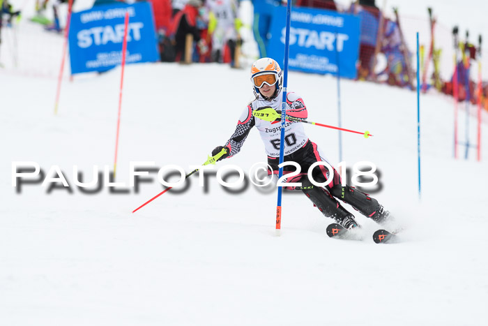 5. BZB CUP SL; WFM 2018