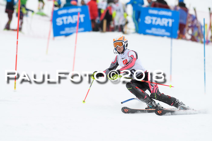 5. BZB CUP SL; WFM 2018