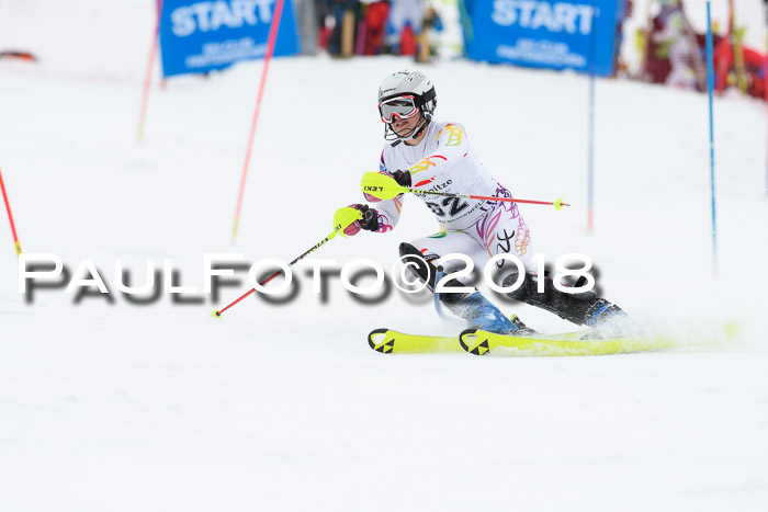5. BZB CUP SL; WFM 2018