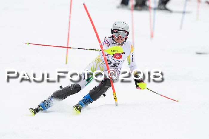 5. BZB CUP SL; WFM 2018
