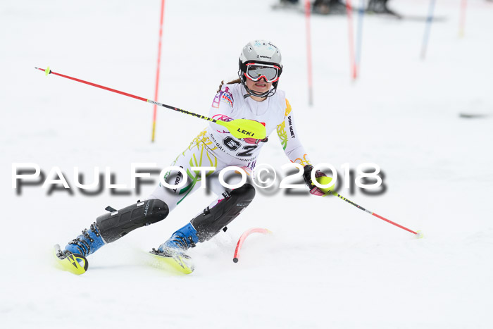 5. BZB CUP SL; WFM 2018