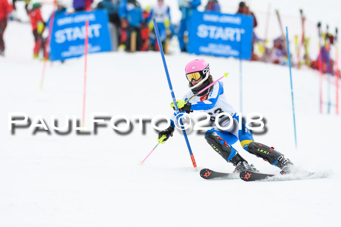 5. BZB CUP SL; WFM 2018