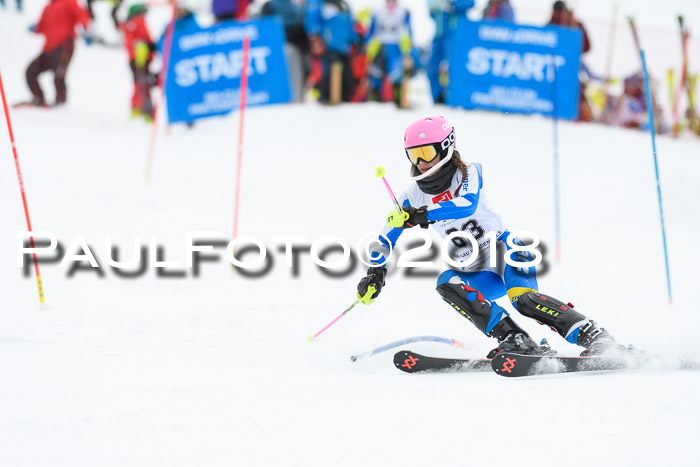 5. BZB CUP SL; WFM 2018