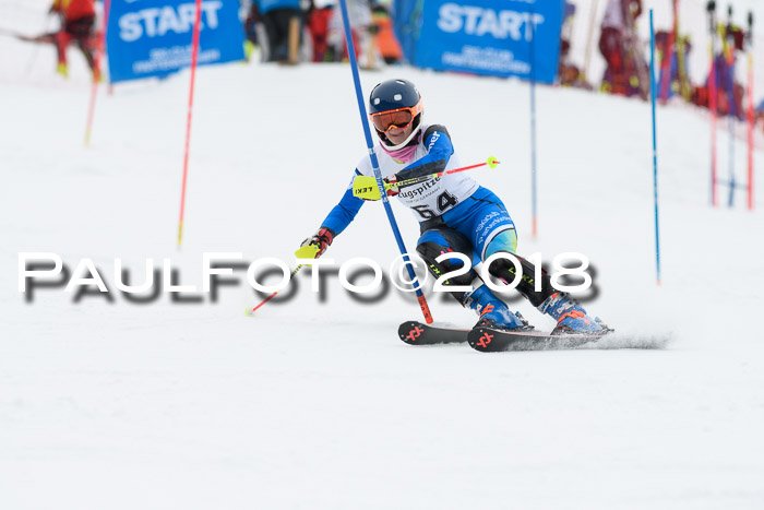 5. BZB CUP SL; WFM 2018
