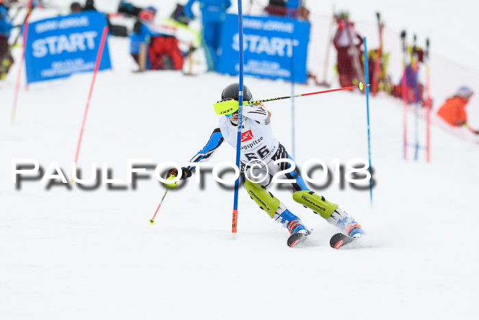 5. BZB CUP SL; WFM 2018