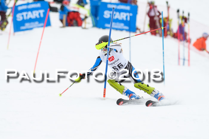 5. BZB CUP SL; WFM 2018