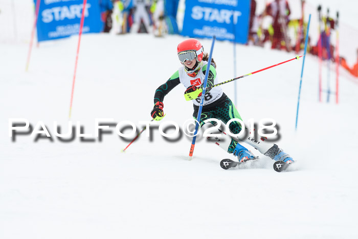 5. BZB CUP SL; WFM 2018