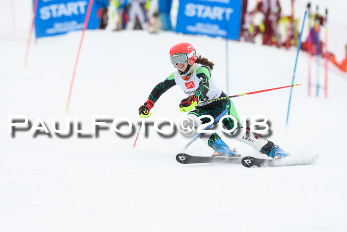 5. BZB CUP SL; WFM 2018