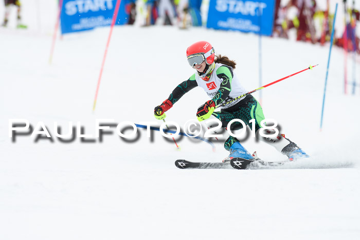 5. BZB CUP SL; WFM 2018