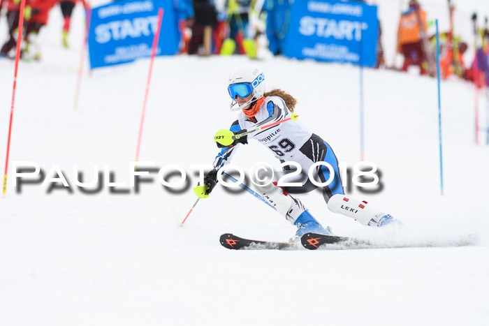 5. BZB CUP SL; WFM 2018
