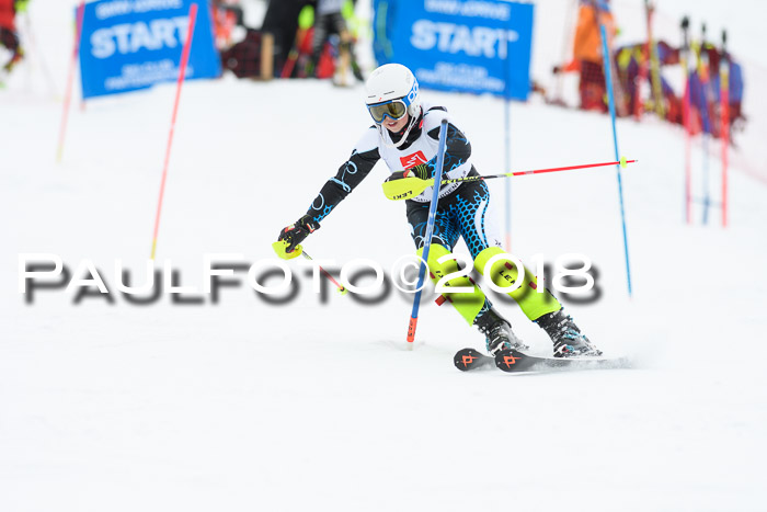 5. BZB CUP SL; WFM 2018