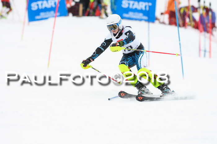 5. BZB CUP SL; WFM 2018