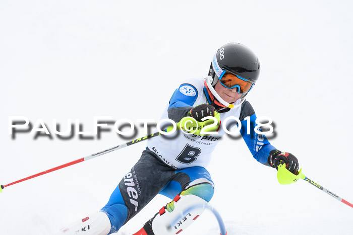 5. BZB CUP SL; WFM 2018