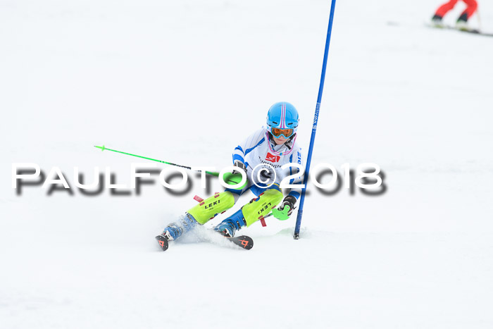 5. BZB CUP SL; WFM 2018