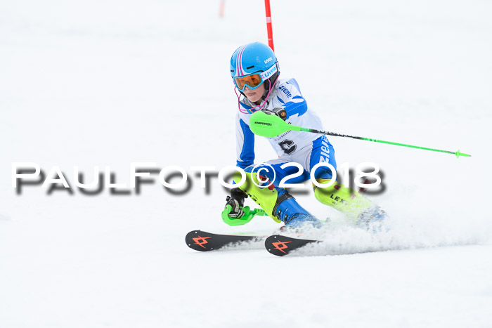 5. BZB CUP SL; WFM 2018