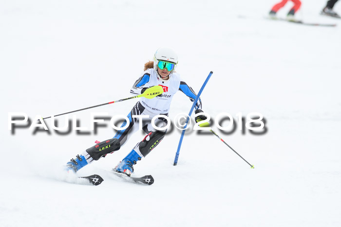 5. BZB CUP SL; WFM 2018