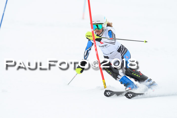 5. BZB CUP SL; WFM 2018