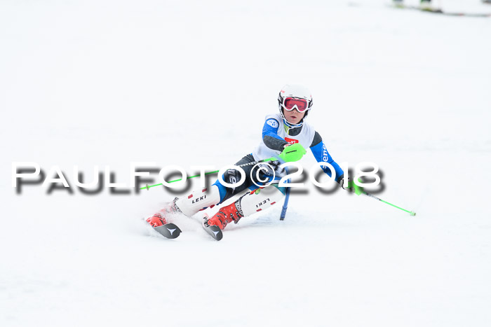 5. BZB CUP SL; WFM 2018
