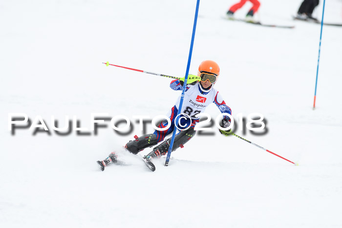 5. BZB CUP SL; WFM 2018