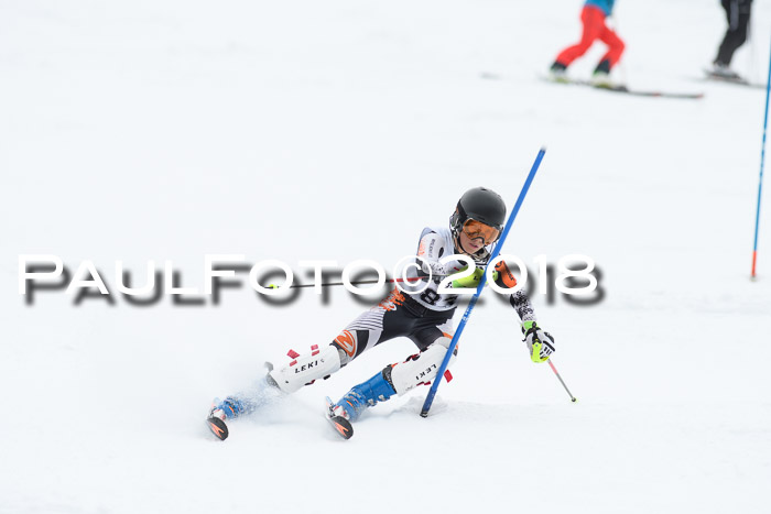 5. BZB CUP SL; WFM 2018