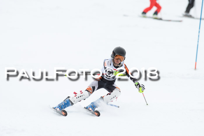 5. BZB CUP SL; WFM 2018
