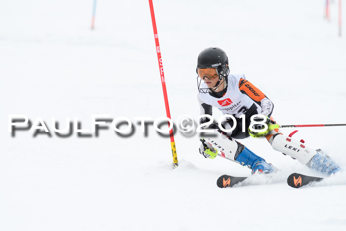 5. BZB CUP SL; WFM 2018
