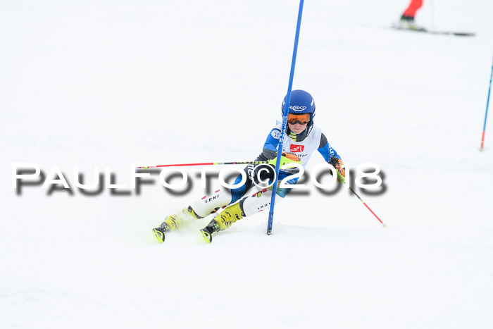 5. BZB CUP SL; WFM 2018