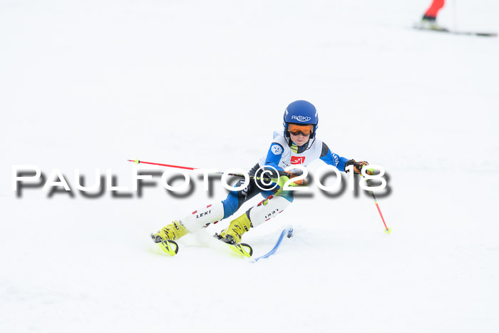 5. BZB CUP SL; WFM 2018