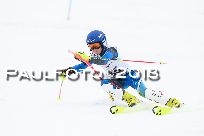 5. BZB CUP SL; WFM 2018