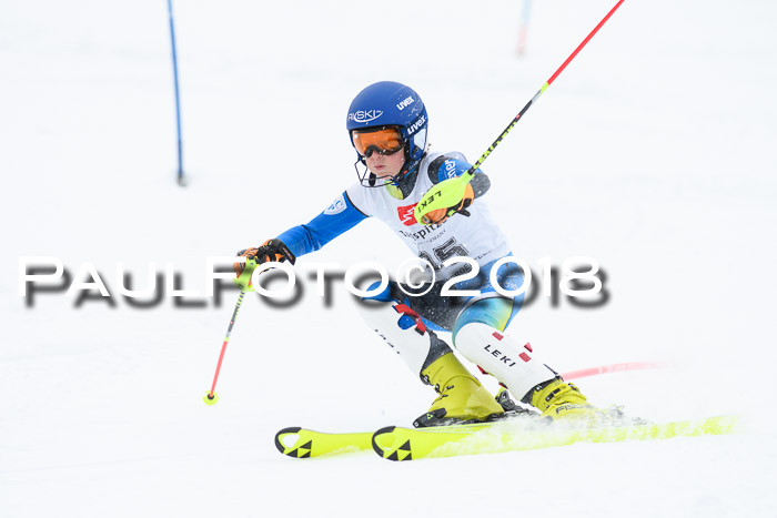 5. BZB CUP SL; WFM 2018