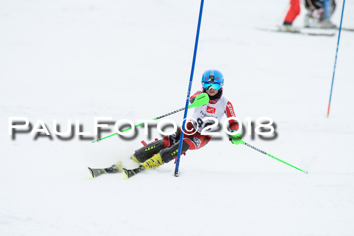 5. BZB CUP SL; WFM 2018