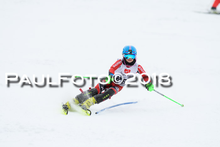 5. BZB CUP SL; WFM 2018