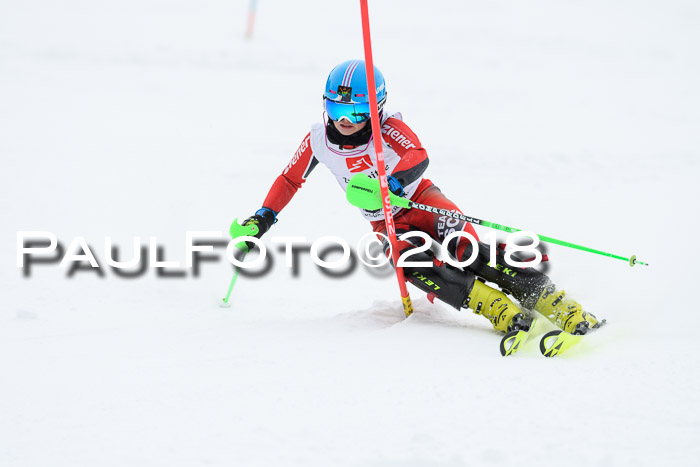 5. BZB CUP SL; WFM 2018