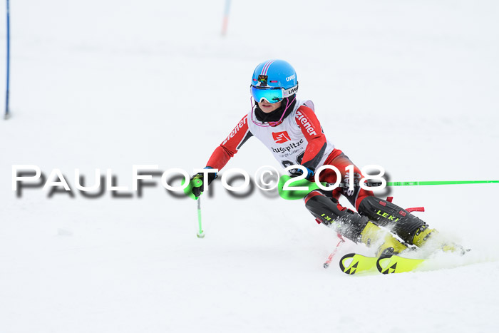 5. BZB CUP SL; WFM 2018