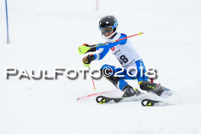 5. BZB CUP SL; WFM 2018