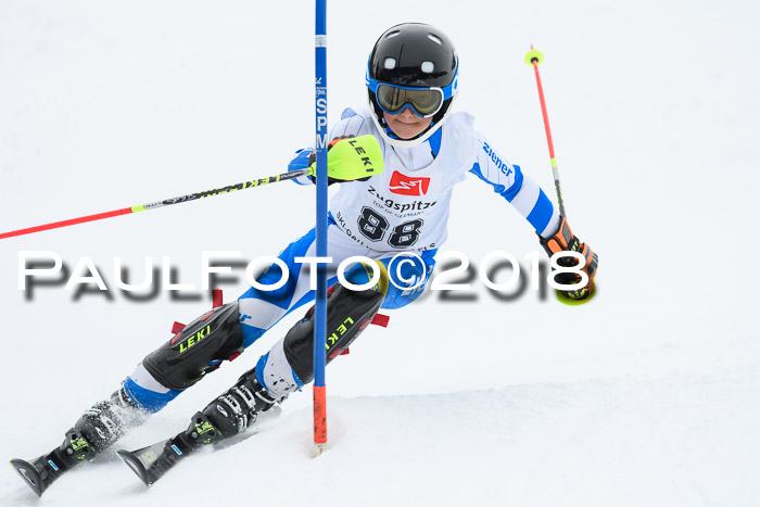 5. BZB CUP SL; WFM 2018