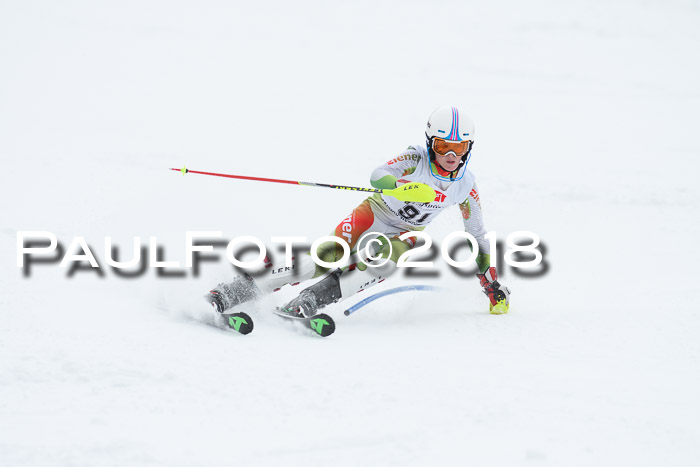 5. BZB CUP SL; WFM 2018