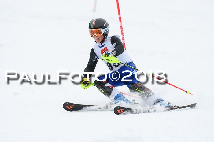 5. BZB CUP SL; WFM 2018