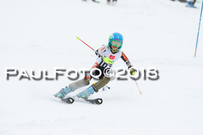 5. BZB CUP SL; WFM 2018