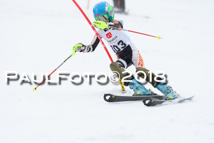 5. BZB CUP SL; WFM 2018