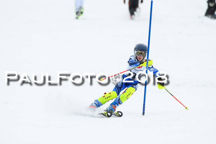 5. BZB CUP SL; WFM 2018