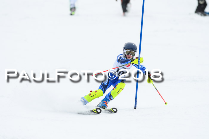 5. BZB CUP SL; WFM 2018