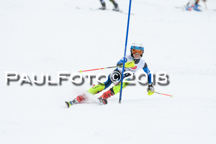 5. BZB CUP SL; WFM 2018