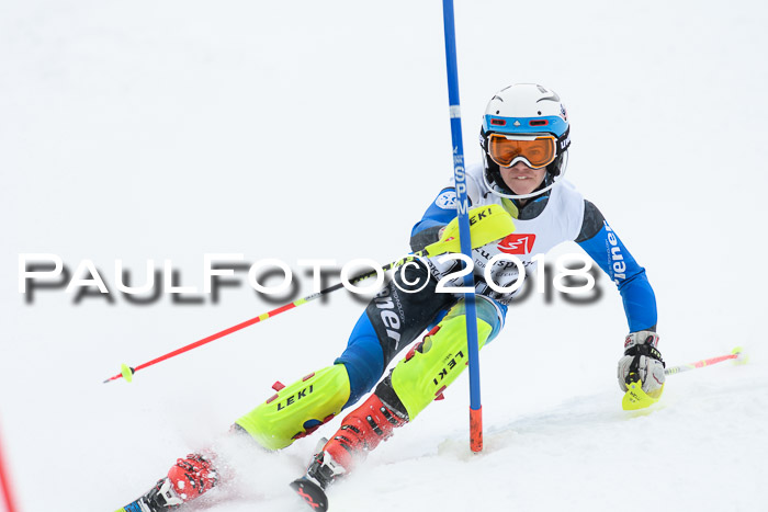 5. BZB CUP SL; WFM 2018