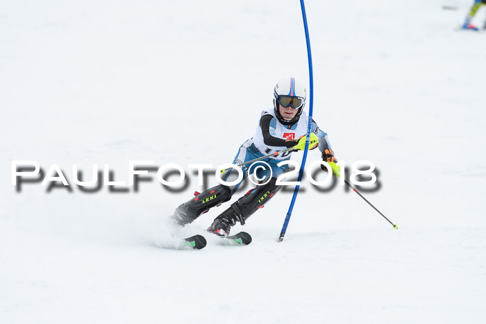 5. BZB CUP SL; WFM 2018