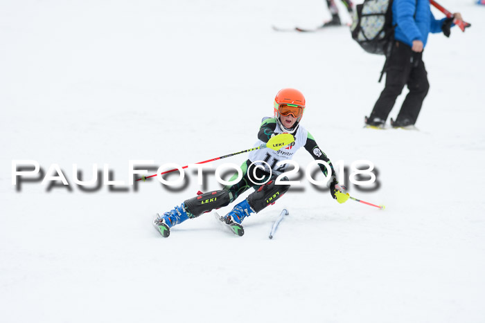 5. BZB CUP SL; WFM 2018