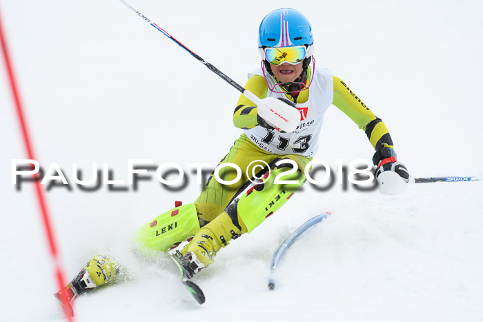 5. BZB CUP SL; WFM 2018